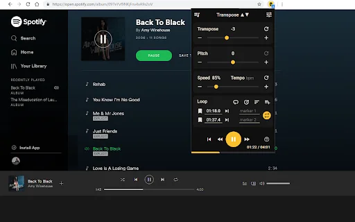 I-download ang Transpose: Baguhin ang Pitch at Bilis ng Musika - Screenshot 3