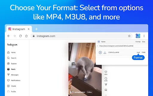 Video Downloader Pro: I-download ang mga Video nang Mabilis at Libre - Screenshot 2
