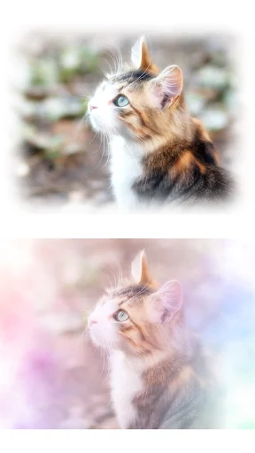 Download WataameCamera APK – Editor ng Larawan na Mala-Cotton Candy - Screenshot 2
